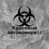 Логотип телеграм канала @kr_nomer51 — ☣️Красивые автономера☣️ 51