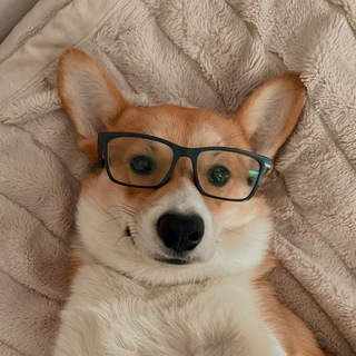 Логотип телеграм канала @krakino — Кракино