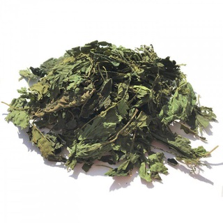 Логотип телеграм канала @krapiva72 — Крапива оптом