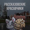 Логотип телеграм канала @krasavrasskazovo — рассказовские красавчики