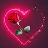 Логотип телеграм канала @krasivie_videos — Красивые видео 🌹❤️| сердечки | розы | цветы |💘| любовь | картинки 💋