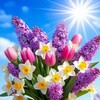 Логотип телеграм канала @kraskihappy — ☀️ МОЙ МИР ☀️