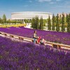 Логотип телеграм канала @krasnodar_podslushan — Парк Краснодар