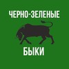 Логотип телеграм канала @krasnodarfan2008 — Черно-Зелёные быки🖤💚