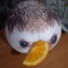 Логотип телеграм канала @kratky_ghoul — Архив Гулёныша