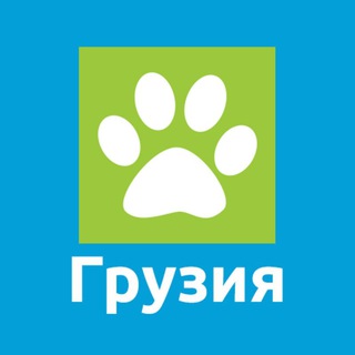 Логотип телеграм канала @krayzemlitut — Грузия на Краю Земли