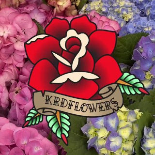 Логотип телеграм канала @krdflowers — Цветы Краснодара