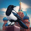 Telegram channel Кремлевская сорока logo