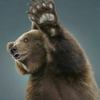 Логотип телеграм канала @kremlintime — Медведь и Топор