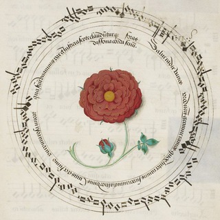 لوگوی کانال تلگرام kreuzspiel — Kreuzspiel