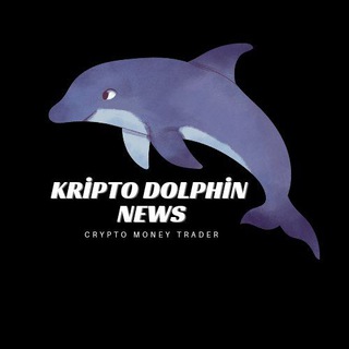Telgraf kanalının logosu kriptodolphinnews — KRİPTO DOLPHİN NEWS 🐬