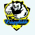 Logo saluran telegram krispykiddo3 — 🔥🍟KRISPYKIDDO FREENET TRICKS 🍟🔥