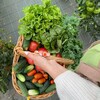 Логотип телеграм канала @kristina_agronom — Агроном Кристина Гец