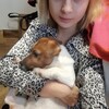 Логотип телеграм канала @kristivrekaveri — кристи в рекавери