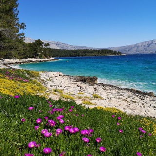 Telegram channel Kroatien 🇭🇷 und Rest der Welt ♡ Einreise und Urlaub logo
