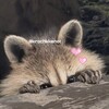 Telegram channel ᯓ𝗞𝗿ᰔ𝘀𝗵𝗸𝗮 𝗘𝗻𝗼𝘁🦝📚 logo