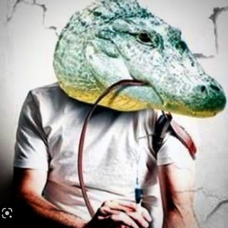 Логотип телеграм канала @krokodilovyi — Крокодиловый приход 🔞