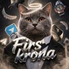 Логотип телеграм канала @krona0000 — Firs krona️️