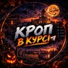 Логотип телеграм -каналу kropvkyrsi — Кроп | в курсі