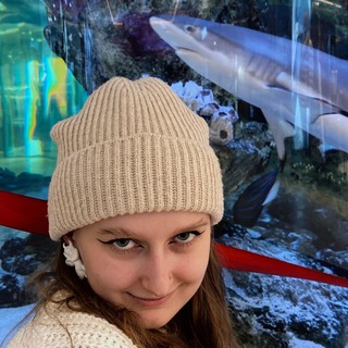 Logo of telegram channel krovs_shark — Тупорылая акула