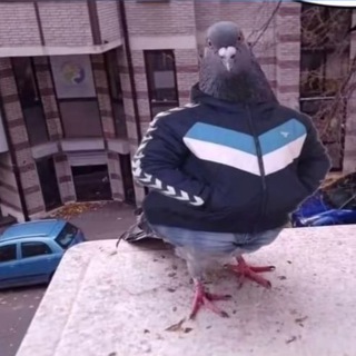 Логотип телеграм канала @kruglash0k — 🟡 КругляШОК 🔵