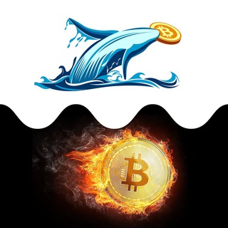 Logo of telegram channel kryptowhales — Krypto Whales 🦈