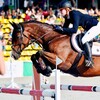Логотип телеграм канала @kseniakhairulina — Ksenia Khairulina Showjumper
