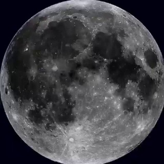 Логотип телеграм канала @ksilynaa — цветок Мироздания