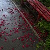 Логотип телеграм канала @ksmwmaksim — максим