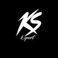 Logo saluran telegram ksportbrand — Ksport brand