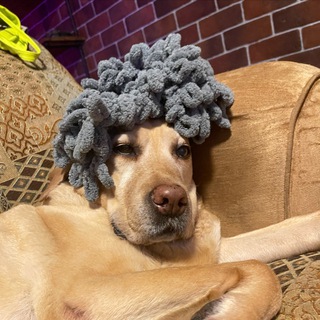 Логотип телеграм канала @ksushanicole66 — Ксюша Голощапова