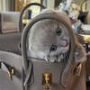 Логотип телеграм канала @ksywuuuu — ксюнчик