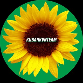 Логотип телеграм канала @kubankvnteam — 🌻KUBANKVNTEAM🌻