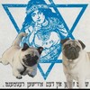 Логотип телеграм канала @kubanoidnenoviop — лысина штефанова