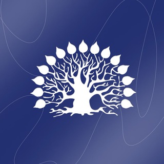 Логотип телеграм канала @kubsunews — КубГУ | kubsunews