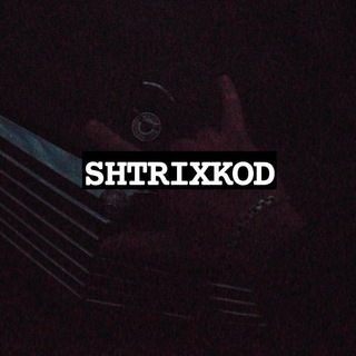 Telegram channel ⚜️SHTRIXKOD⚜️ logo