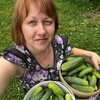 Логотип телеграм канала @kudryashkina_dacha — Kudryashkina_Dacha