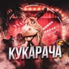 Логотип телеграм канала @kukarachop — Кукарача