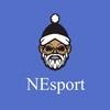 Logo of telegram channel kukarevnm — NEsport
