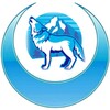 Telegram kanalining logotibi kukburi_hayqirigi — Кўк бўри ҳайқириғи