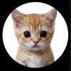 Telegram channel КУКОЛД КАНАЛ!! logo