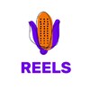 Логотип телеграм -каналу kukurudzaproreels — качан ідей reels pro 😎