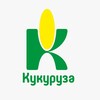 Логотип телеграм канала @kukuruza_rf — КУКУРУЗА