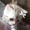 Логотип телеграм канала @kumertr — а в Кумертау любят..