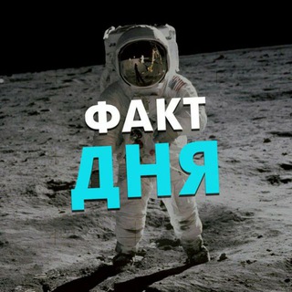 Логотип телеграм канала @kunfakt123 — Факт дня