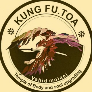 لوگوی کانال تلگرام kungfu_toa_telegram — Kungfu_Toa_