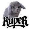 Логотип телеграм канала @kuperog — Купержуня