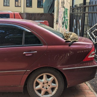 Логотип телеграм канала @kupi_prodai_auto — BUYBACK auto