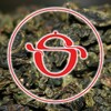 Логотип телеграм канала @kupit_chai — Купить Чай 🇨🇳 | 茶 Китайский чай