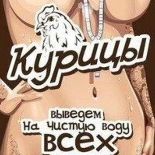 Логотип телеграм канала @kur_krd — Курицы Краснодара